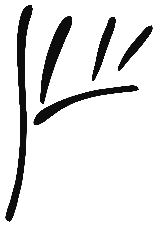Image of the occurrence